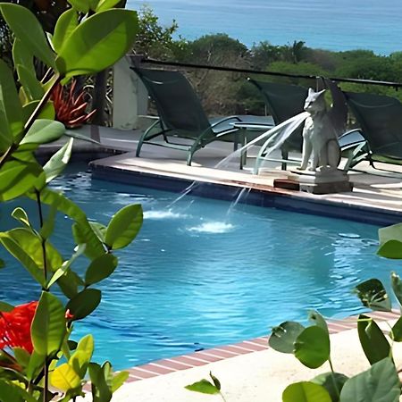 ホテル Hacienda Tamarindo ビエケス エクステリア 写真