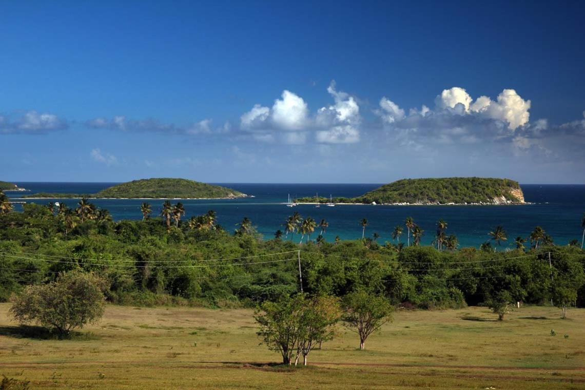 ホテル Hacienda Tamarindo ビエケス エクステリア 写真