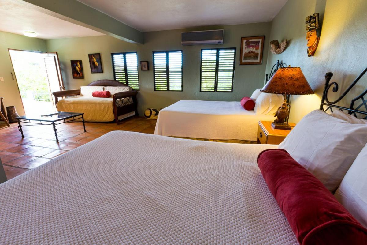 ホテル Hacienda Tamarindo ビエケス エクステリア 写真