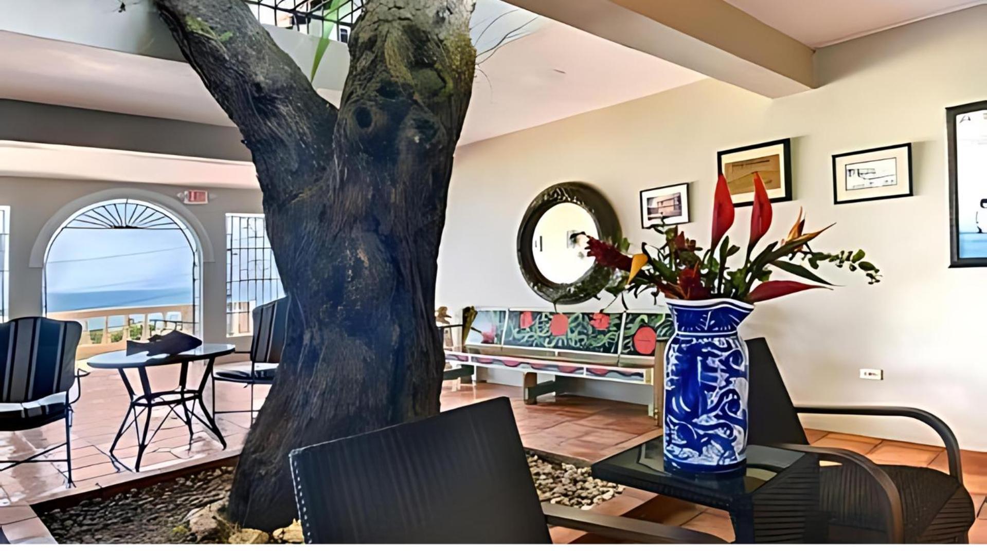 ホテル Hacienda Tamarindo ビエケス エクステリア 写真